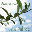 Domenica delle Palme Domenica delle Palme