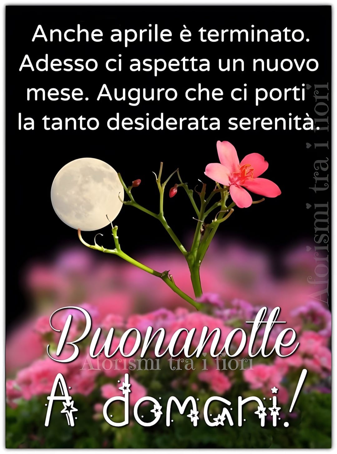 Anche aprile è terminato. Adesso ci aspetta un nuovo mese. Auguro che ci...