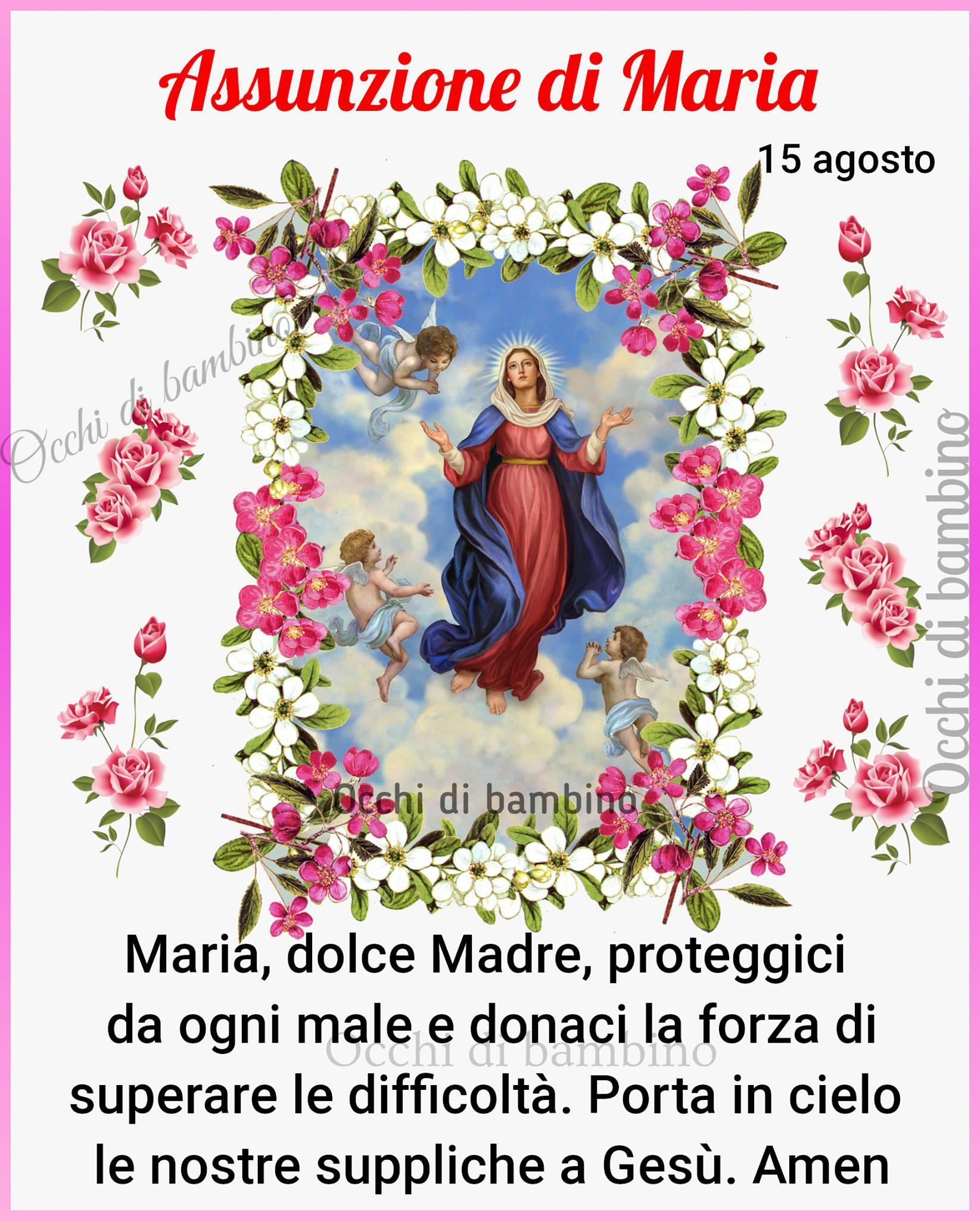 Assunzione di Maria 15 agosto Maria, dolce Madre, proteggici da ogni male e...