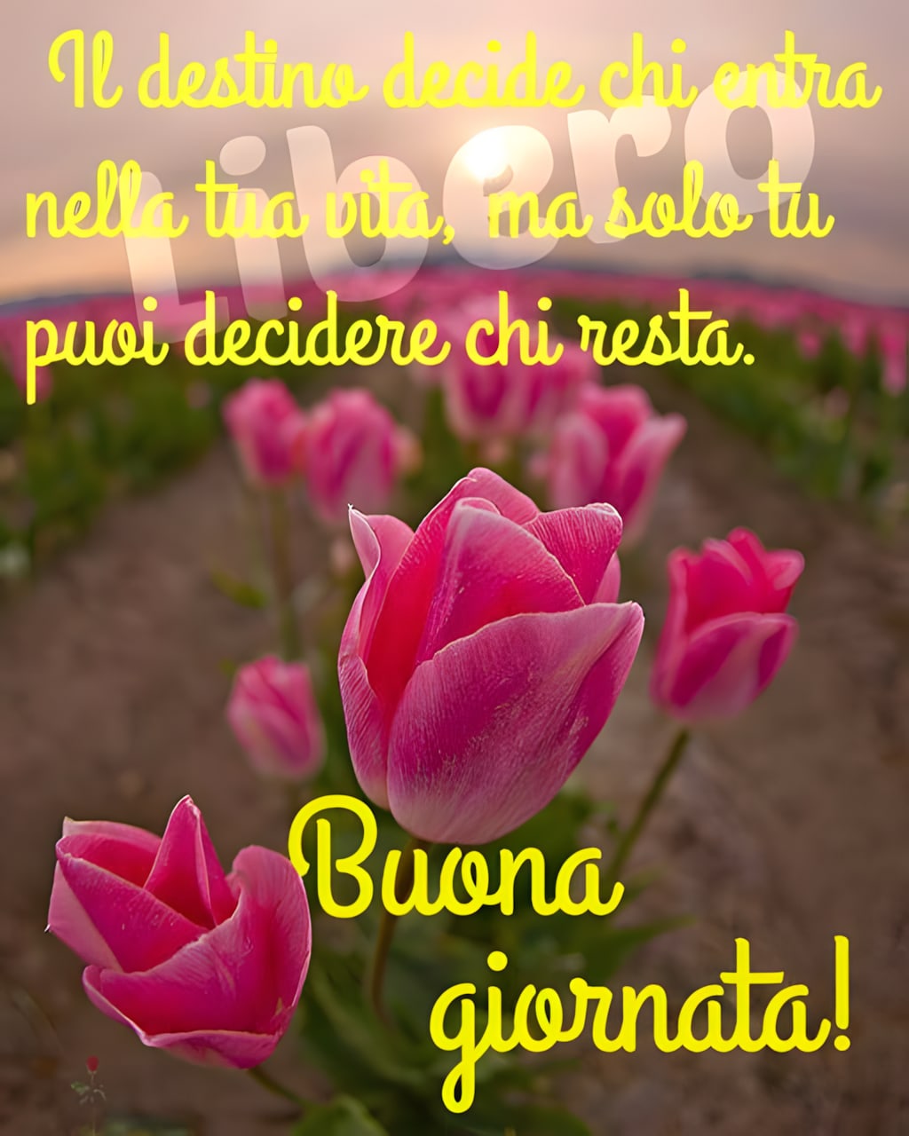  20 Immagini Di Buona Giornata Con Belle Frasi Top Immagini