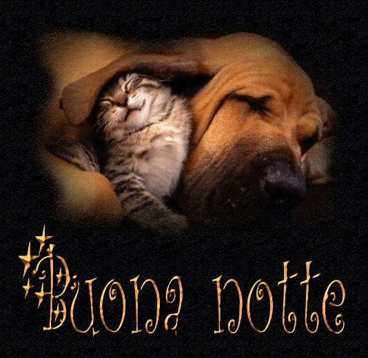 Buona notte immagine #206 - TopImmagini