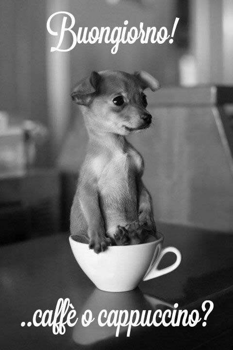 Buongiorno! Caffè o cappuccino?