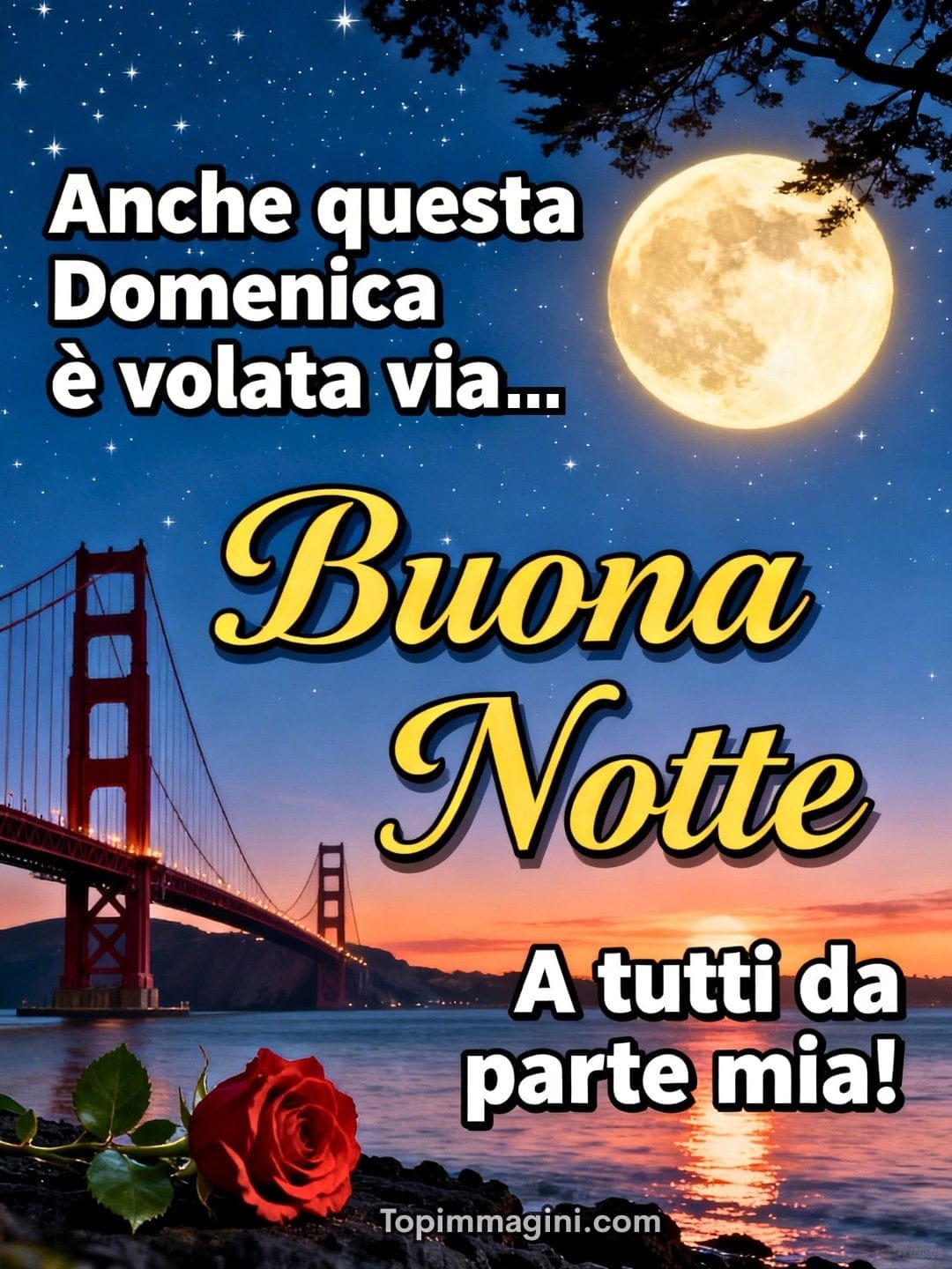 Notte stellata con luna piena sul ponte, tramonto sul mare e rosa rossa; scritta “Buona Notte”