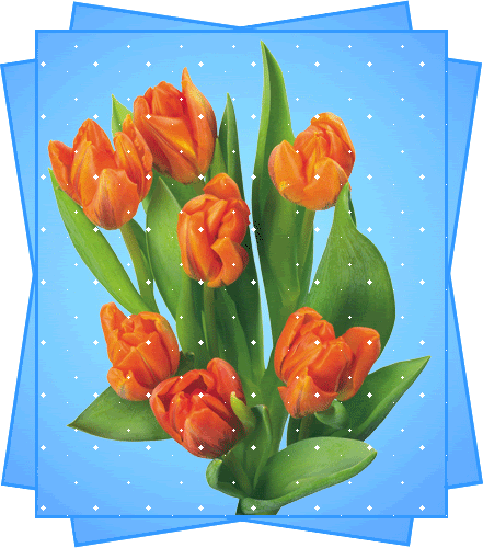 Carta di tulipani arancioni