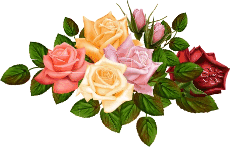 Animazione di rose colorate