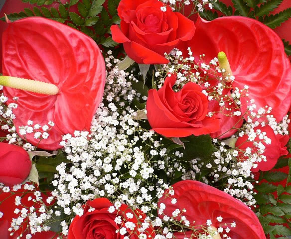 Bouquet di fiori rossi