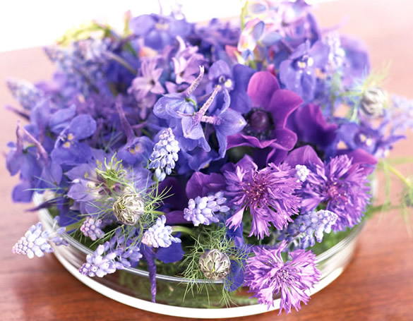 Diversi fiori viola