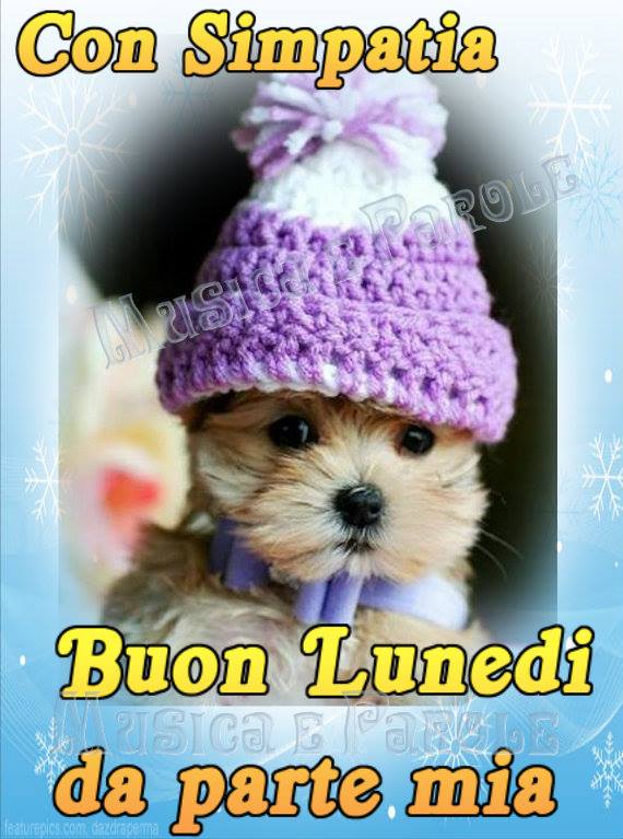 Un tenero cucciolo con un cappello viola augura Buon Lunedì