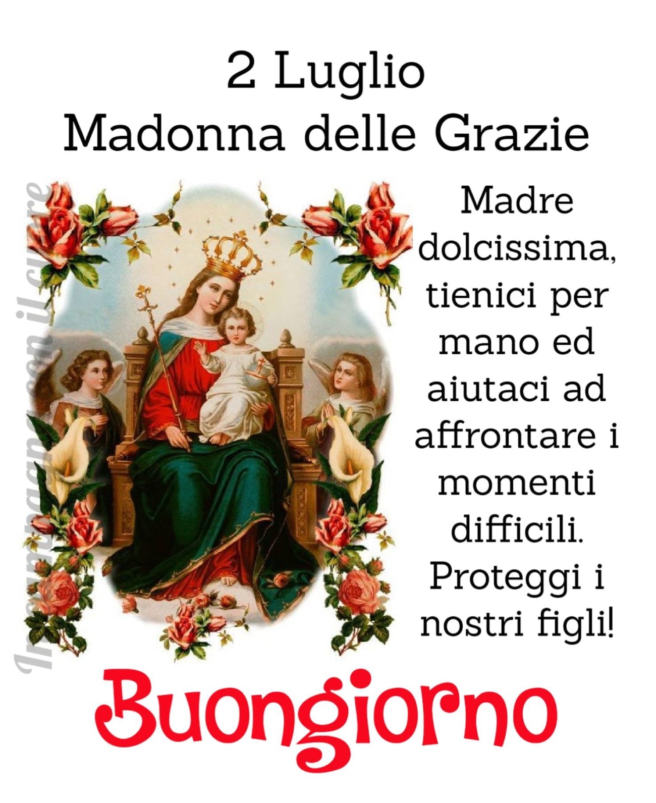 2 Luglio Madonna delle Grazie. Madre dolcissima, tienici per mano ed aiutaci ad...