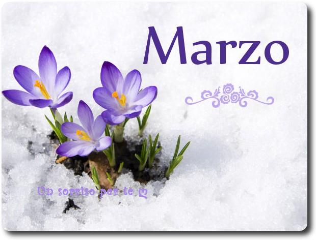 Crochi viola emergono dalla neve con la scritta Marzo