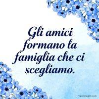 Citazione sull’amicizia su sfondo azzurro con fiori blu ad acquerello ai bordi