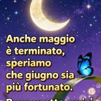 Luna crescente nel cielo stellato e farfalla blu su una foglia, con messaggio di buonanotte