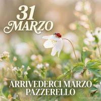 Coccinella su fiore bianco in un prato sfocato, con scritte '31 marzo' e saluto a marzo