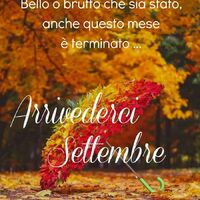 Bello o brutto che...