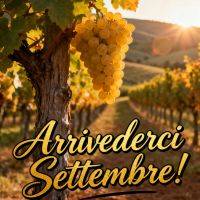 Grappolo d’uva su vite in vigneto al tramonto con scritta “Arrivederci settembre!”