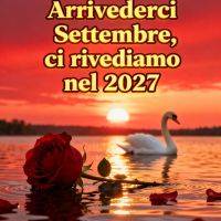 Tramonto sul lago con un cigno e una rosa rossa sull’acqua, con petali sparsi