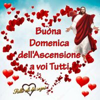 Buona domenica...