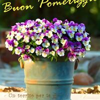 Buon Pomeriggio