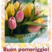 Buon pomeriggio !