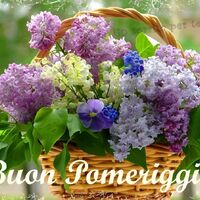 Buon Pomeriggio