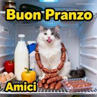 Gatto in frigorifero con salsicce al collo, latte, uova e peperoni sul ripiano