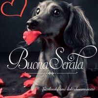 Buona Serata