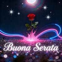 Rosa rossa che emerge da uno spruzzo rosa, con stelle e scie luminose su sfondo notturno
