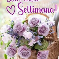 Buon inizio...