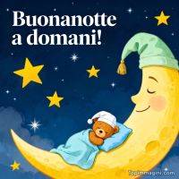 Luna sorridente con cappello da notte e orsetto che dorme sulla luna tra stelle nel cielo