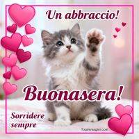 Gattino bianco e grigio alza una zampa tra cuori rosa e augurio di buonasera