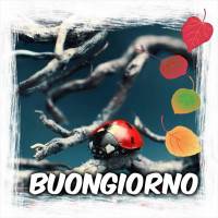 Buongiorno