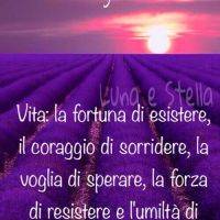 Campi di lavanda al tramonto con sole allorizzonte e cielo viola