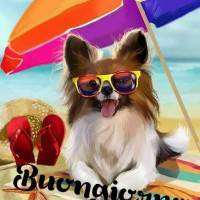 Buongiorno