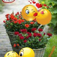 Cesto pieno di rose rosse con emoji sorridenti e cuoricini