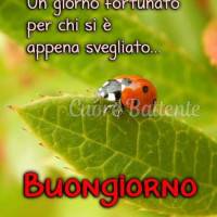 Un giorno fortunato per che si è appena svegliato...