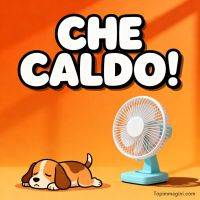 Scritta “Che caldo!” su sfondo arancione con un cagnolino sdraiato e un ventilatore acceso