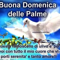 Buona Domenica delle...