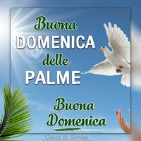 Buona Domenica delle...