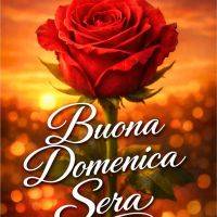 Rosa rossa su sfondo dorato con scritta augurale: “Vi auguro una Buona Domenica Sera”