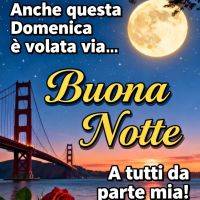 Notte stellata con luna piena sul ponte, tramonto sul mare e rosa rossa; scritta “Buona Notte”