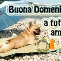 Buona Domenica a...