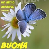 Non alzarti un giorno senza ringraziare per viverne un altro ancora
