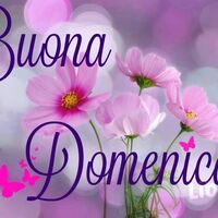 Buona Domenica