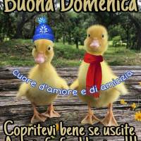 Buona Domenica. Copritevi bene...