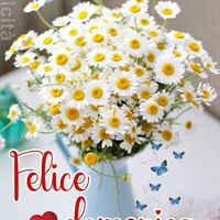 Felice domenica