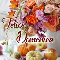 Felice Domenica