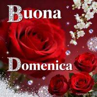 Rose rosse e fiori bianchi con scintillii e scritta di augurio per la domenica