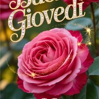 Buon giovedì.