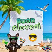 Bulldog con occhiali e maracas in spiaggia, palma, gabbiani e mare sullo sfondo
