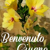 Benvenuto Giugno